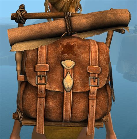 gw2 backpack